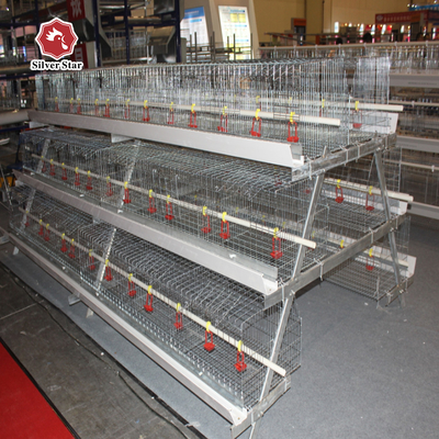 Q235 Battery Cages Laying Hens Chicken Farming Materials A Type