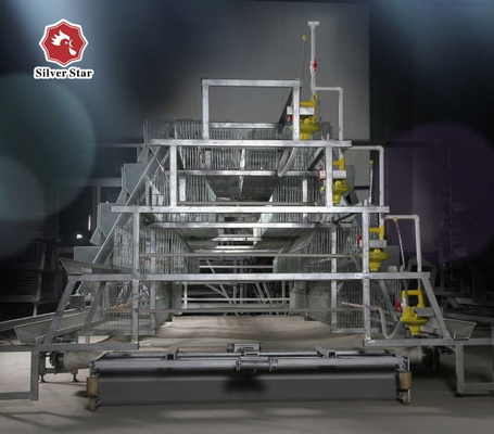 Broiler Baby Chick Cage With Full Feeding System