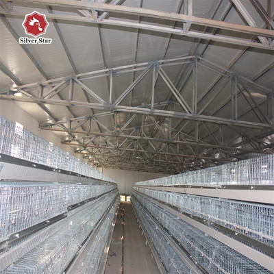 Broiler Chicken Farm Automatic Battery Cage System 13 Chicks/Cell