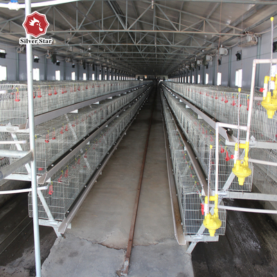 Durable Layer Baby Chick Cage SGS Manure Removing