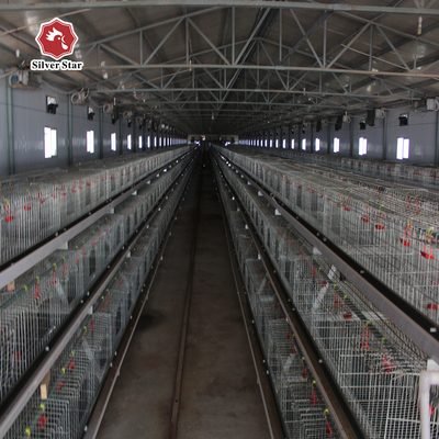 Silver Baby Chick Modern Hen Cage With Full Automatic System