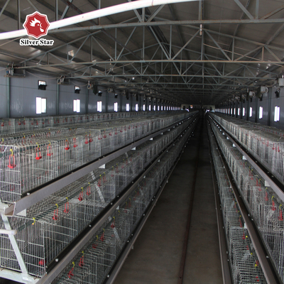 Q235 Battery Cages Laying Hens Chicken Farming Materials A Type