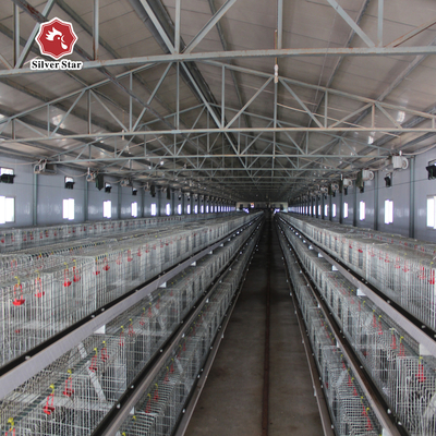 Broiler Baby Chick Poultry Raising Equipment Galvanized Steel Anti Corrosion