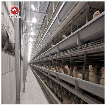 4 Layer Battery H Type Chicken Egg Laying Hens Poultry Cage With Automatic Egg Collection System