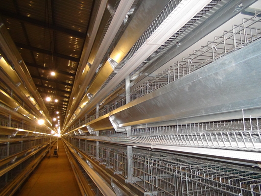 Galvanized Automatic H Type Chicken Cage 3 Tiers For Poultry Field