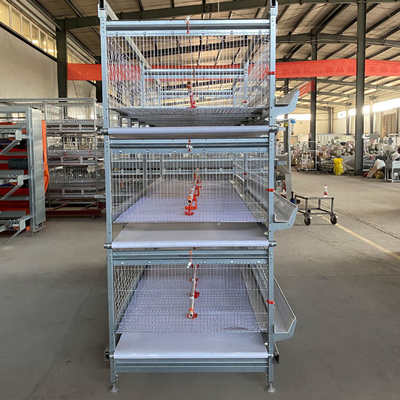 Cold Galvanized Poultry Farm Cages For Broiler Chicken Breeding / Meat Broiler