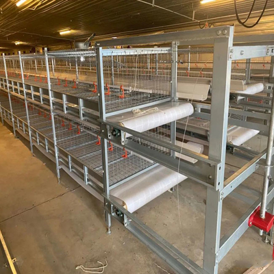 H Type Broiler Cage With Poultry Drinking System