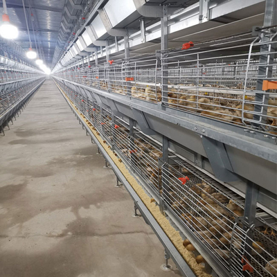 260 Birds Hunsbandry Layer Chicken Cage For Laying Hens SGS Approval