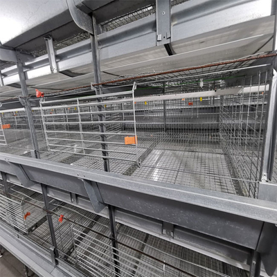 Baby Chicks Broiler Chicken Cage For Chicken Farm