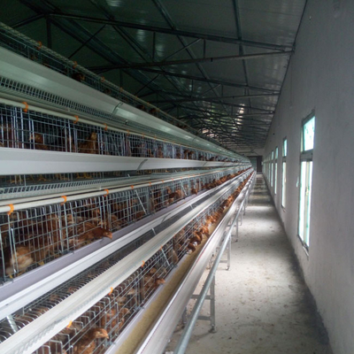 90 Birds A Frame Layer Cages Chicken Poultry Laying Hens Equipment