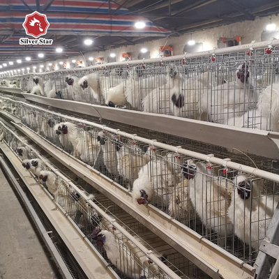 2000 Birds A Frame Layer Cages Layer Poultry Equipment SGS Approved