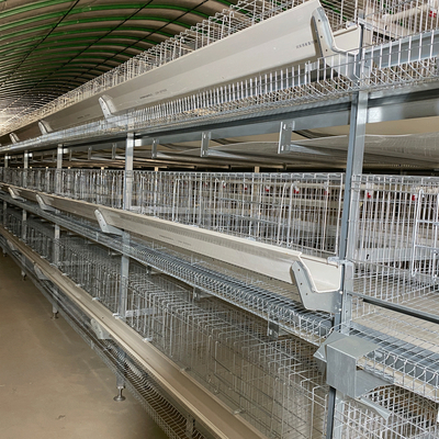 Hot Galvanized Steel Battery Poultry Cage H Type 3 Tiers