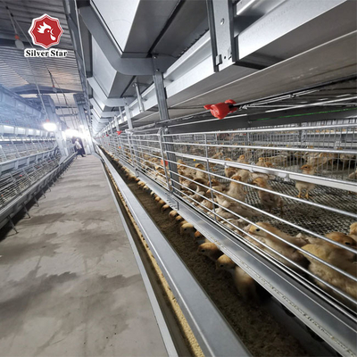 65 X 62.5 CM Big Size Battery Layer Chicken Cage H Type