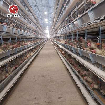 65 X 62.5 CM Big Size Battery Layer Chicken Cage H Type