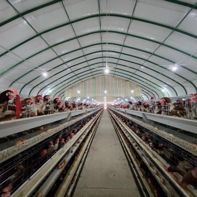 H-type layer cage system – multi-layer vertical frame structure detail